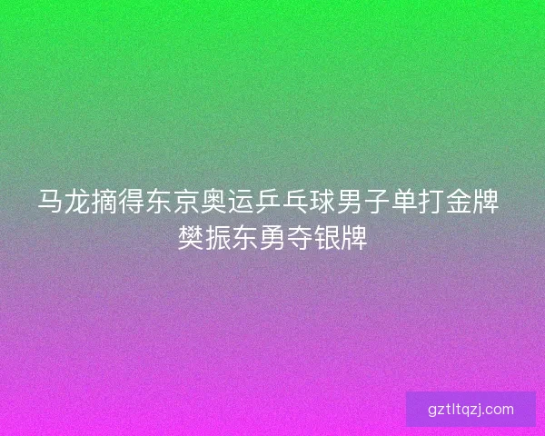 马龙摘得东京奥运乒乓球男子单打金牌 樊振东勇夺银牌